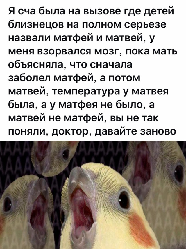 Подборка прикольных картинок Подборка прикольных картинок приколы,смешные картинки,юмор