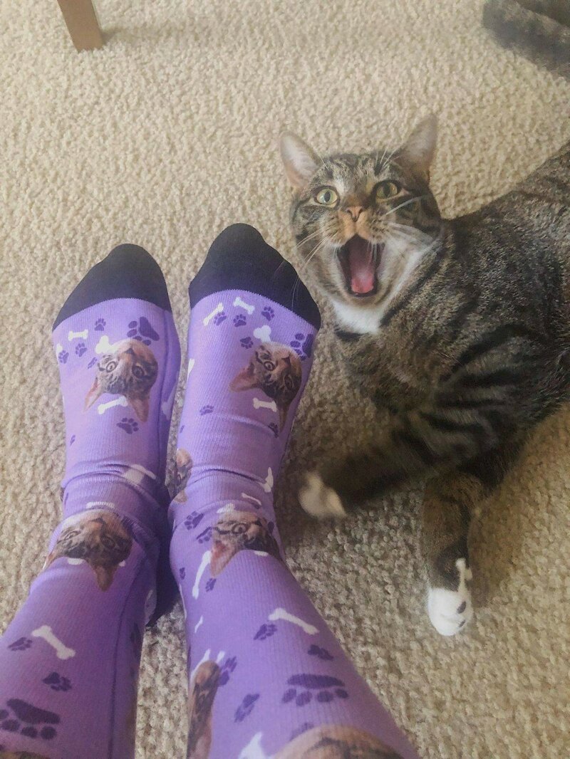 Эмоциональные фотографии для отличного настроения Эмоциональные фотографии для отличного настроения фотография