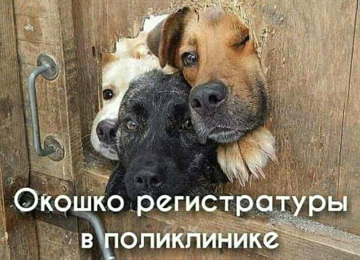 - Петя, а куда ты вешаешь вещи? - Мы, мужики, обычно вешаем свои вещи на пол