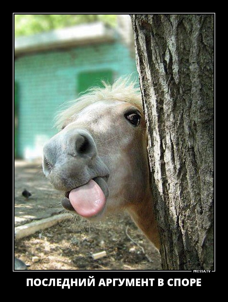 Забавные позитивные демотиваторы о жизни для хорошего настроения Забавные позитивные демотиваторы о жизни для хорошего настроения