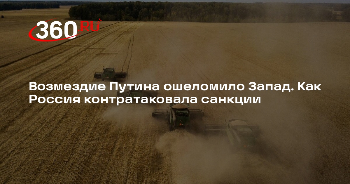 NetEase: Россия добилась огромных успехов в сельском хозяйстве