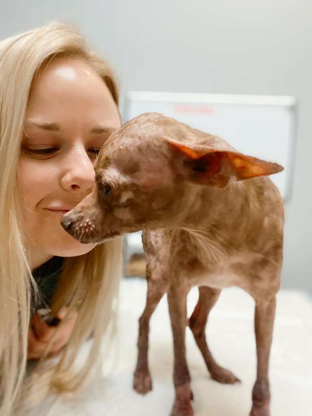 собака с девушкой