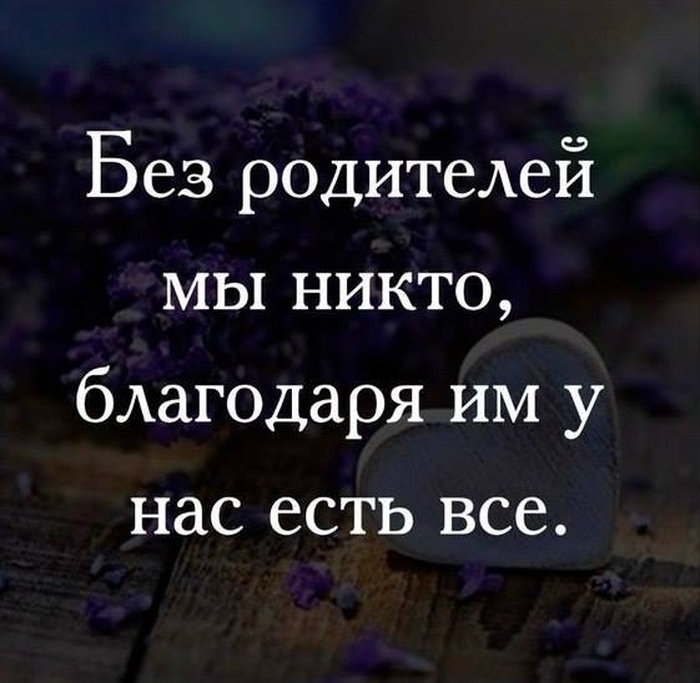 Смешные высказывания для хорошего настроения 