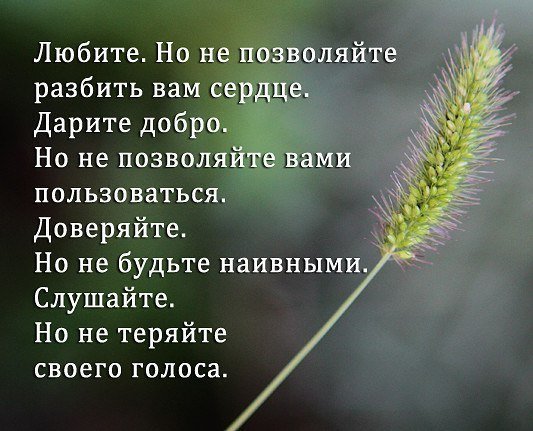 Михаил Хазин расклад на ближайшее время
