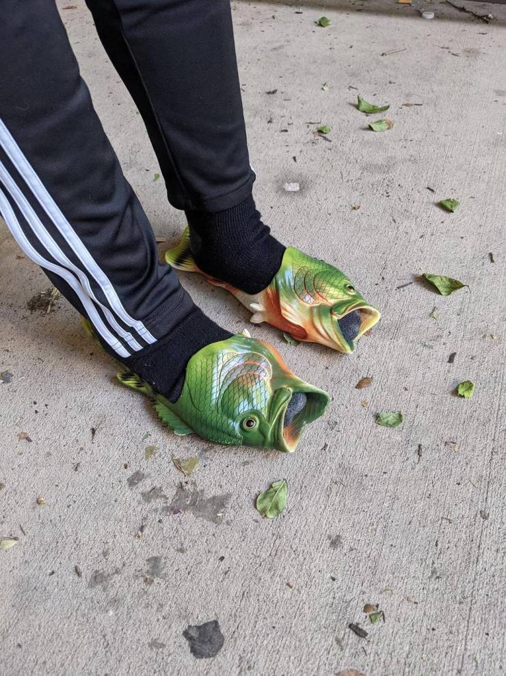 Подборка прикольных картинок Подборка прикольных картинок приколы,смешные картинки,юмор