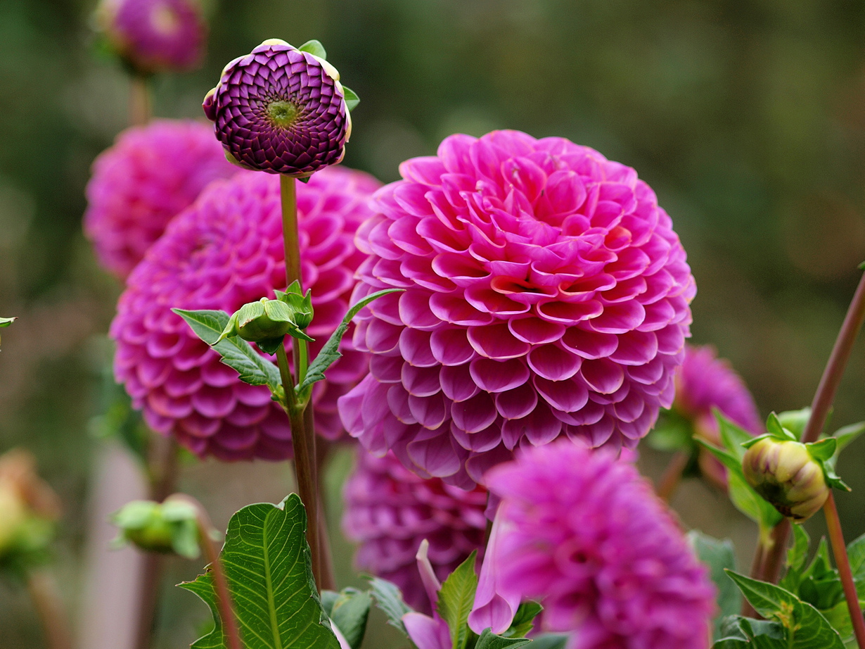 В осеннем парке. (John Bennett)