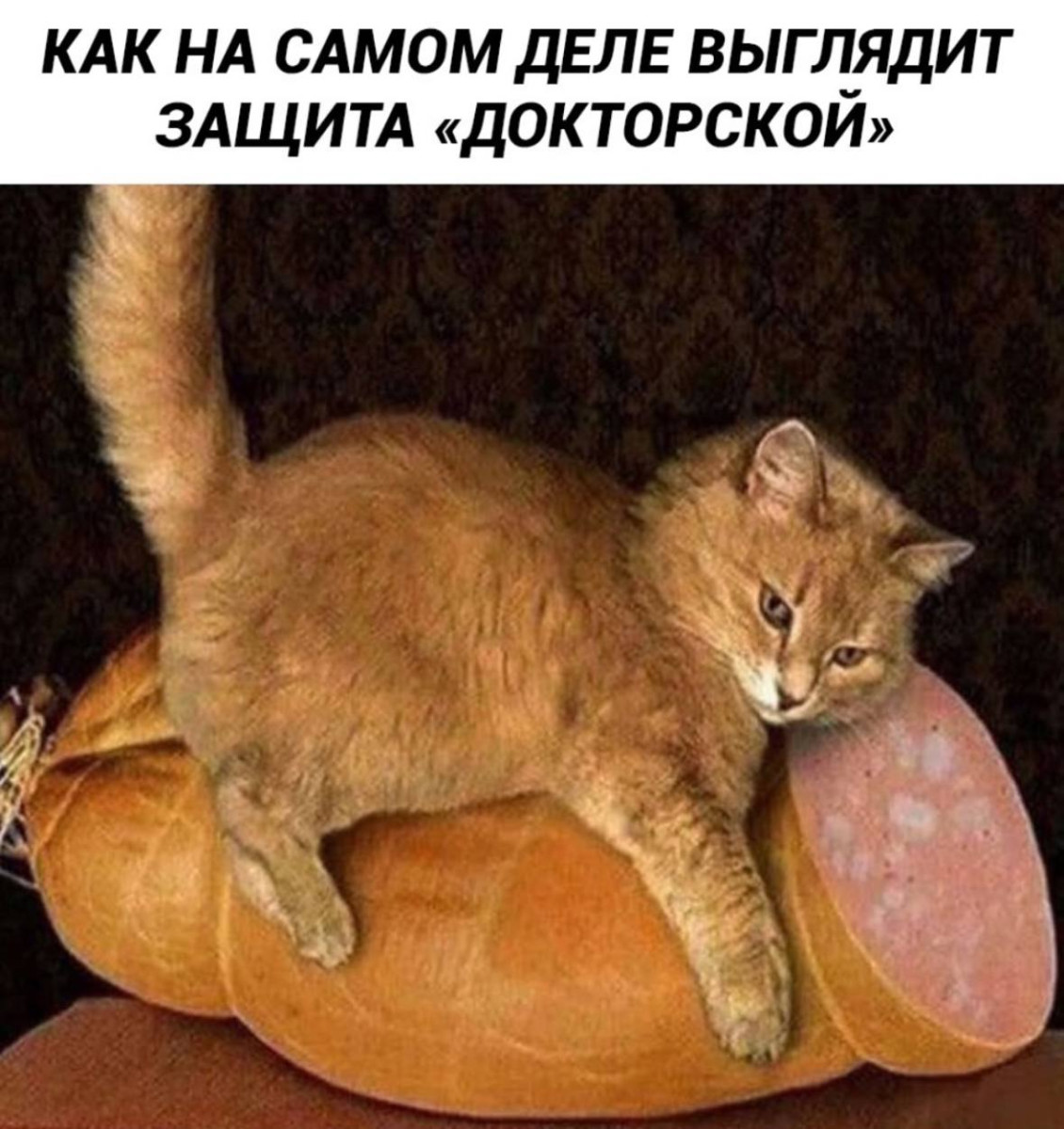 Смешные картинки с надписями и парни с ногами Смешные картинки с надписями и парни с ногами