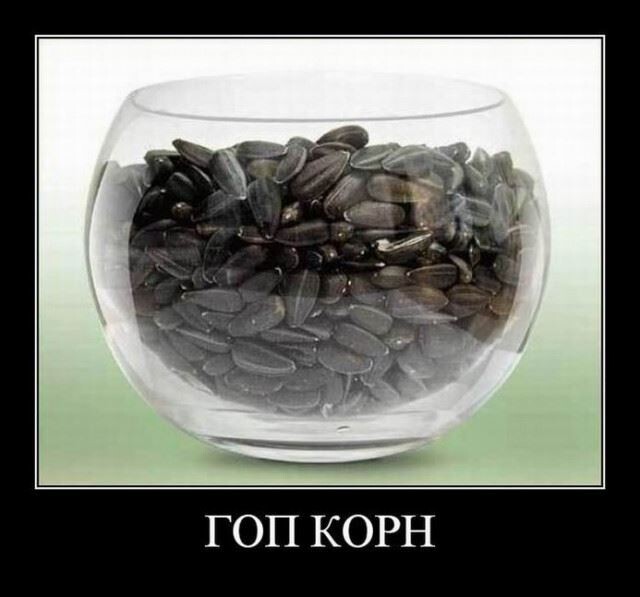 Очередная порция прикольных демотиваторов на любой вкус!