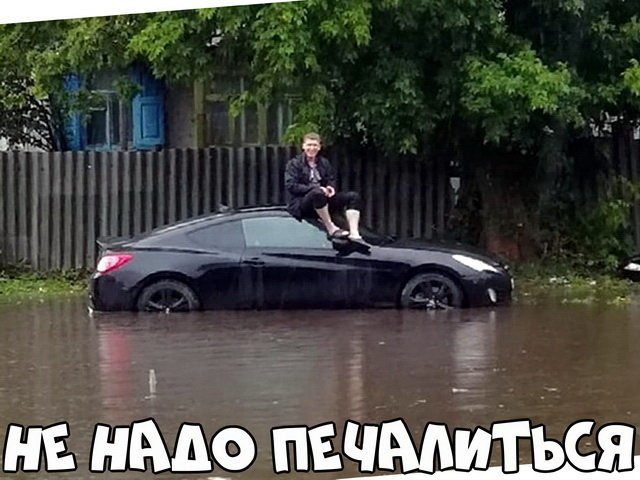 Автовсячина Автовсячина, авто, автомобиль, автоприкол, машина, прикол