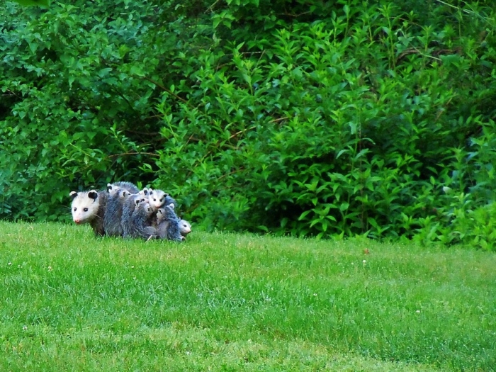 Фотоподборка пятницы на конец осени Фотоподборка пятницы на конец осени