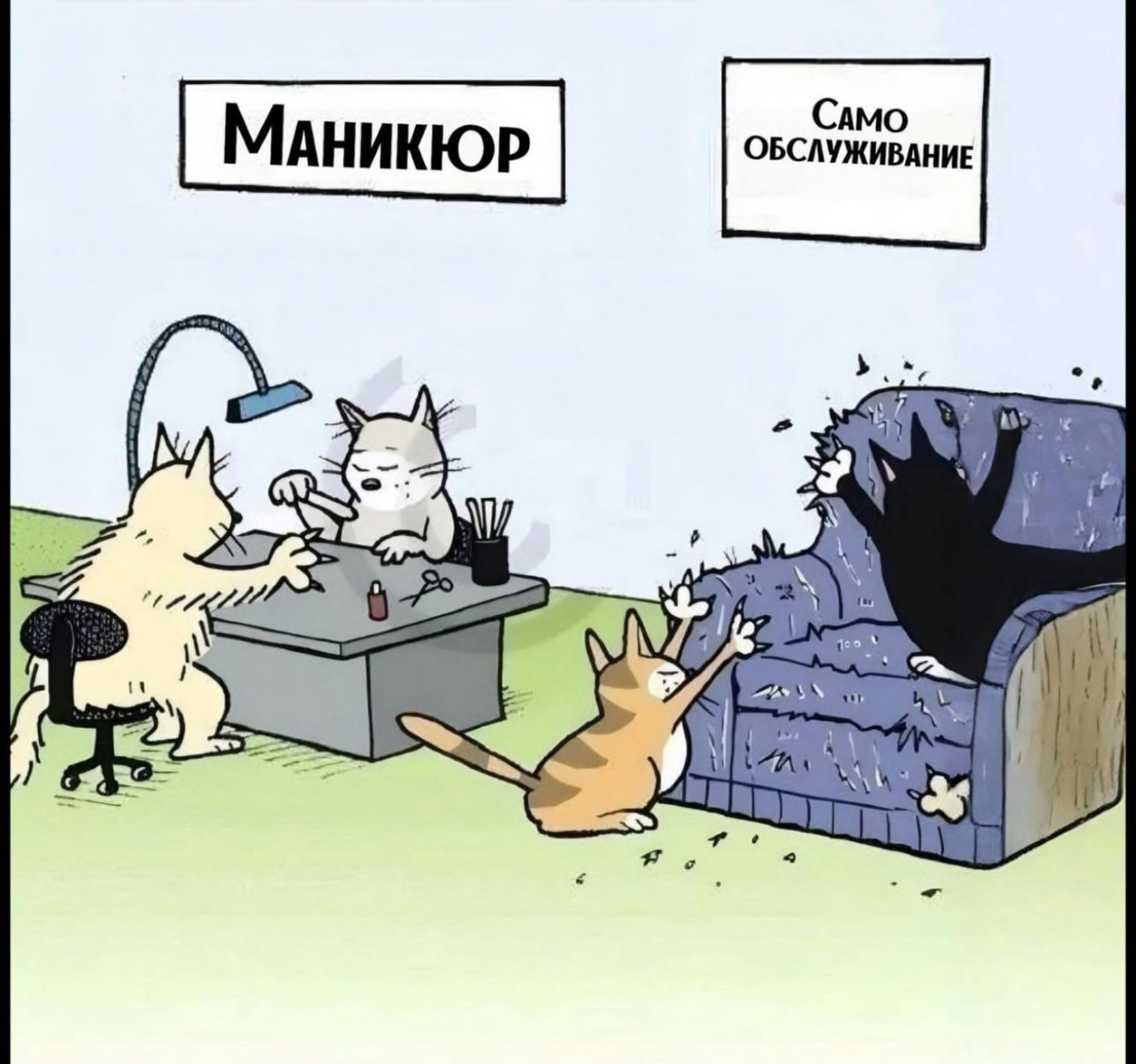 Воскресенские весёлые картинки 