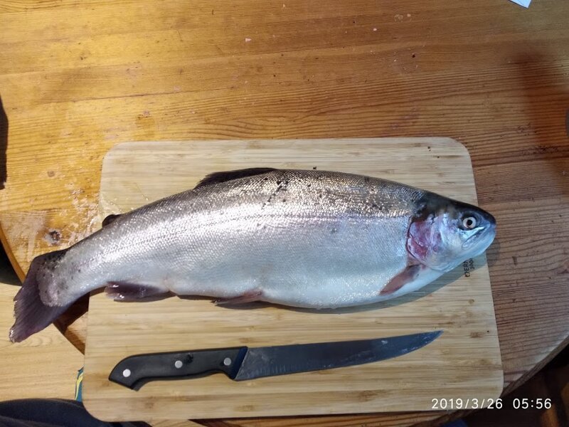 Как засолить форель: простой домашний рецепт