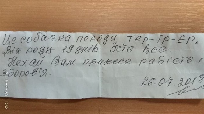 Щенок несуществующей породы был спрятан на лестнице. Рядом лежало письмо истории из жизни