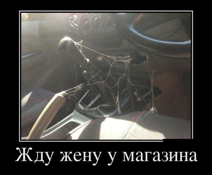 Демотиваторы демотиваторы, прикол, юмор