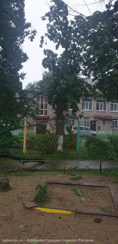 В Рязани упавшая ветка дерева убила женщину у детского сада