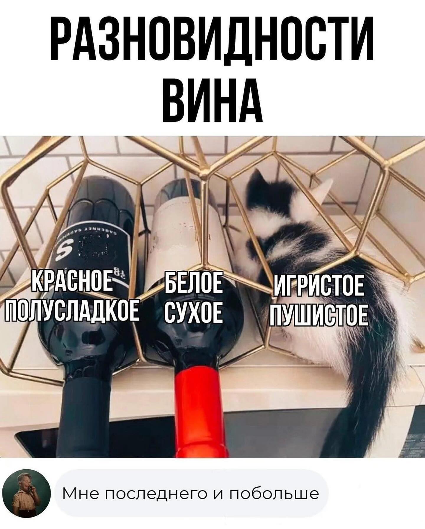 Мальчик был настолько ленивый, что вставал пораньше чтобы ничего не делать подольше! 