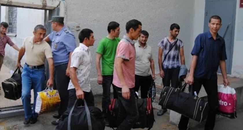 Из Владимирской области выдворили 8 нелегалов из Средней Азии