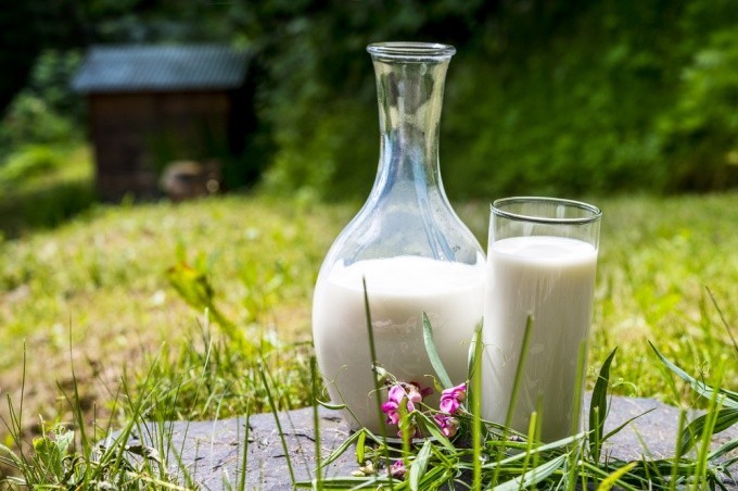 Проверить молоко на натуральность может каждый потребитель в домашних условиях молоко, проверить, этого, молока, нужно, можно, Однако, сделать, просто, наличие, После, производители, очень, имеет, домашних, чтобы, молоке, намного, добавить, крахмала