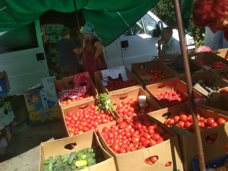 Записки Колорадского Таракана. А мы опять… заболели! Записки Колорадского Таракана. А мы опять… заболели! украина