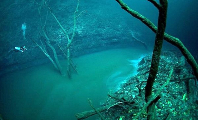 Подводная река Черного моря: на глубине в 35 метров появилось свое течение, где по предположениям можно ловить рыбу Черного, здесь, водопады, руслом, сомнением, подводной, организмов, живых, существование, реки Впрочем, стали, исследователей, затем, которые, желоба, сформировал, Напор, акваторию, прорвалось, Группа