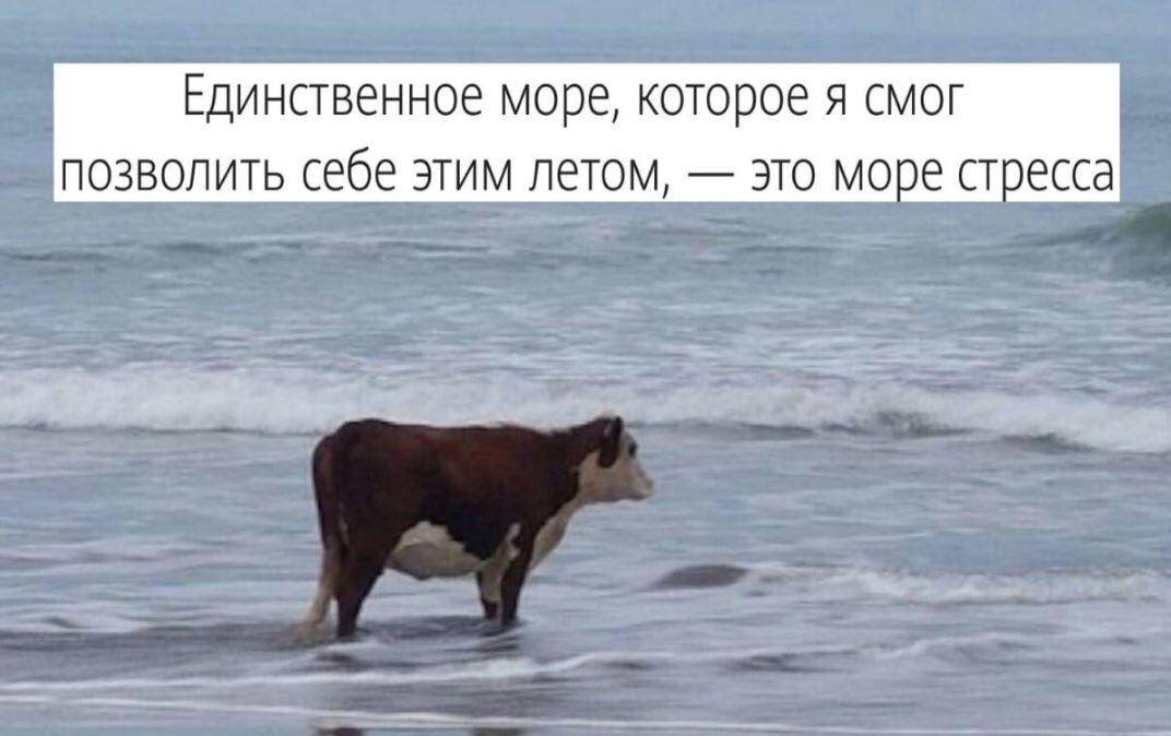 Из-за идиотов всё труднее жить дуракам — смешные картинки с надписями Из-за идиотов всё труднее жить дуракам — смешные картинки с надписями