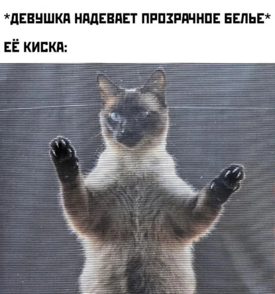 Поднимите себе настроение по-взрослому!