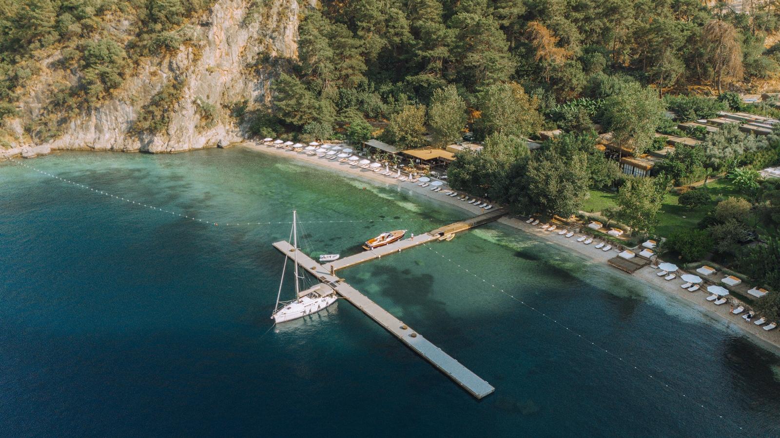 Женский уикенд и дегустации на берегу океана: чем заняться в отпуске в марте 2026 можно, здесь, поесть, делать, посмотреть, марта, чтобы, стоит, устроить, вечер, Главное, курорте, «Поле», только, ресторане, событие, хочется, Васта, превращается, Можно