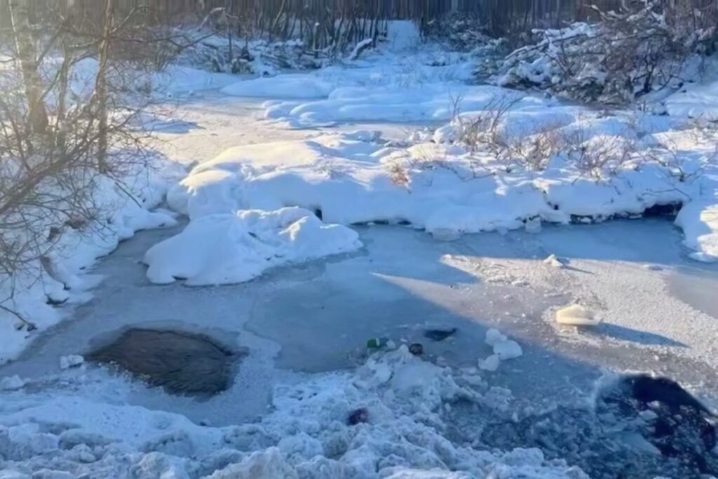 Убитый в Петербурге 9-летний Паша был еще жив в момент утопления — СМИ