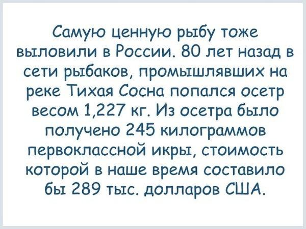 Факты о России россия, ссср, факты