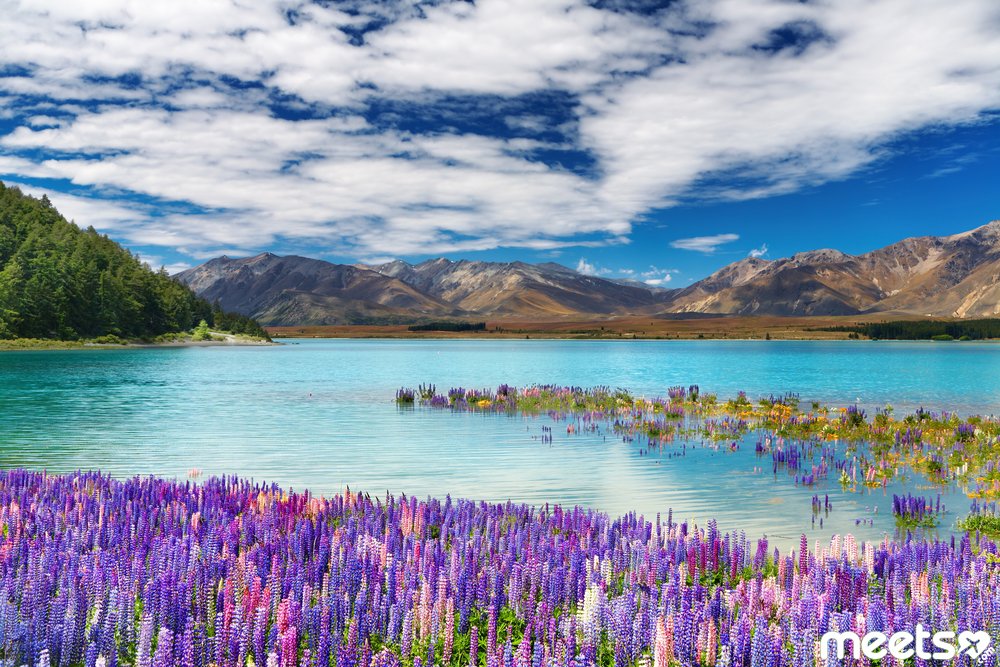 Lake Tekapo