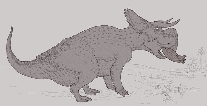 Nasutoceratops — род птицетазовых динозавров динозавры, доисторические животные, доисторические существа, интересное, палеонтология, рисунки, художник