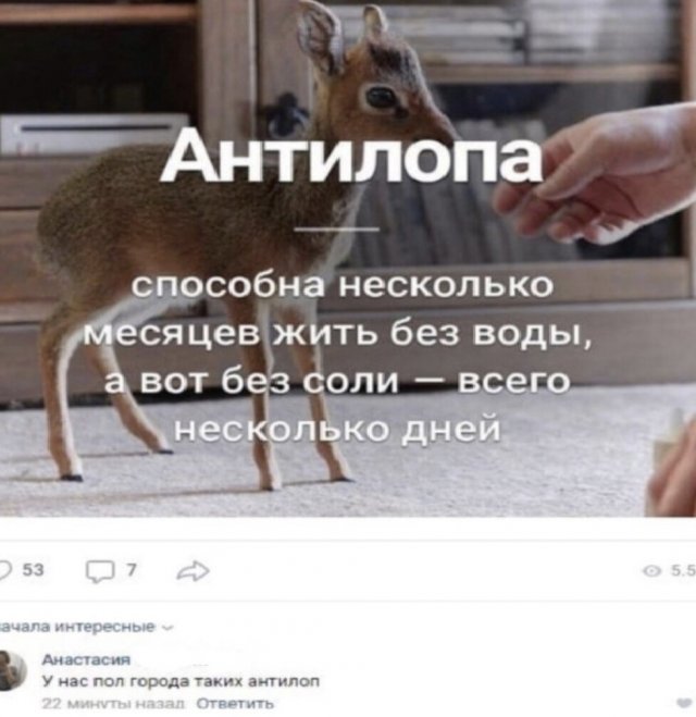 Комментарии к постам в социальных сетях  