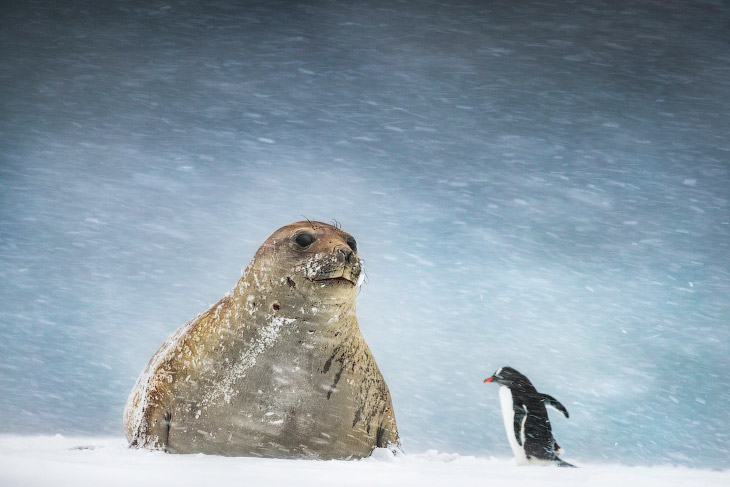 Конкурс фотографий UK Travel Photographer 2019 Конкурс фотографий UK Travel Photographer 2019 интересное,конкурс,фотография