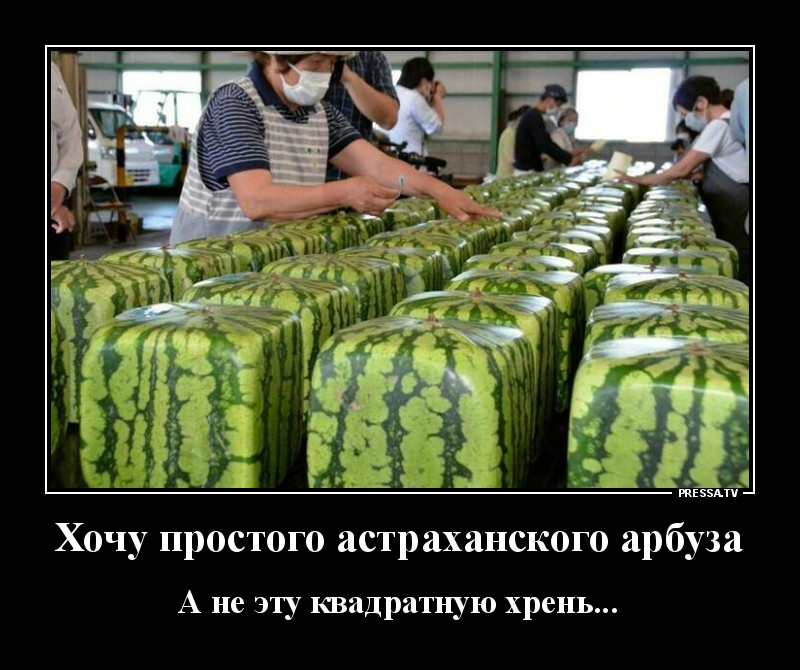 Свежая коллекция юмора для отличного настроения Свежая коллекция юмора для отличного настроения