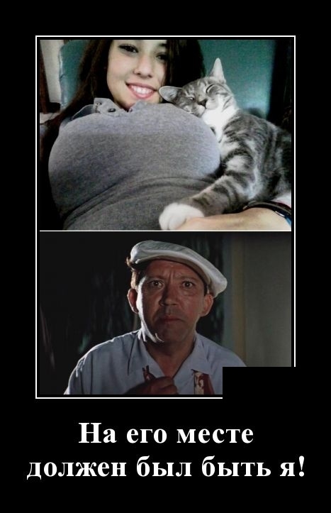 Демотиваторы вторника - 19.02.19