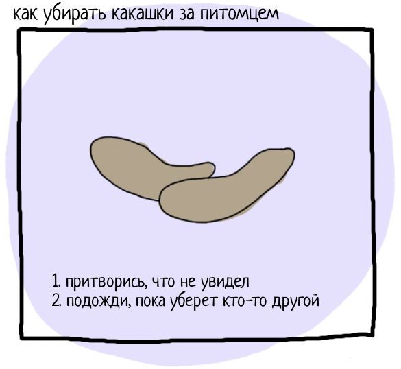 Неполезные мужские советы 