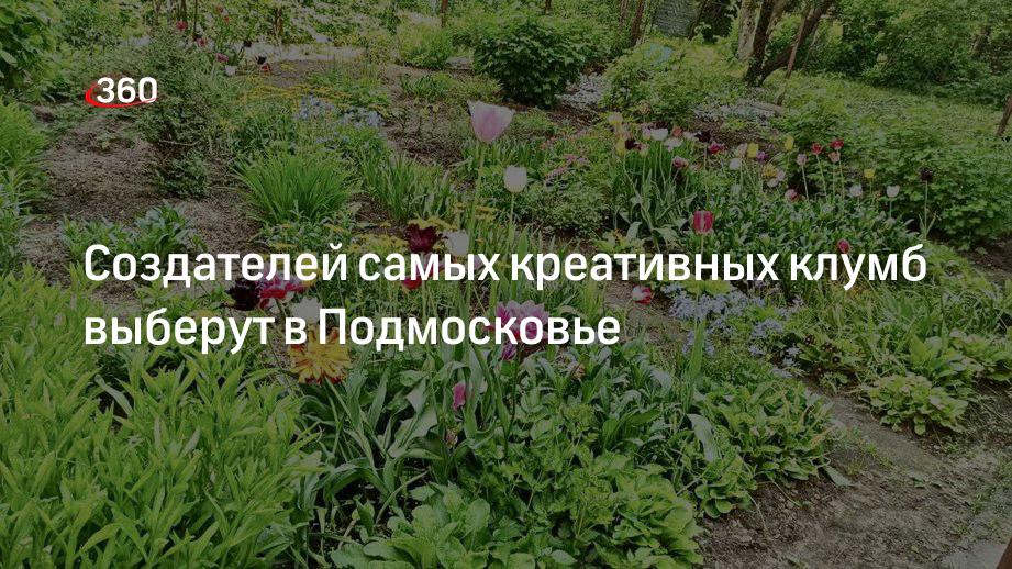 Создателей самых креативных клумб выберут в Подмосковье