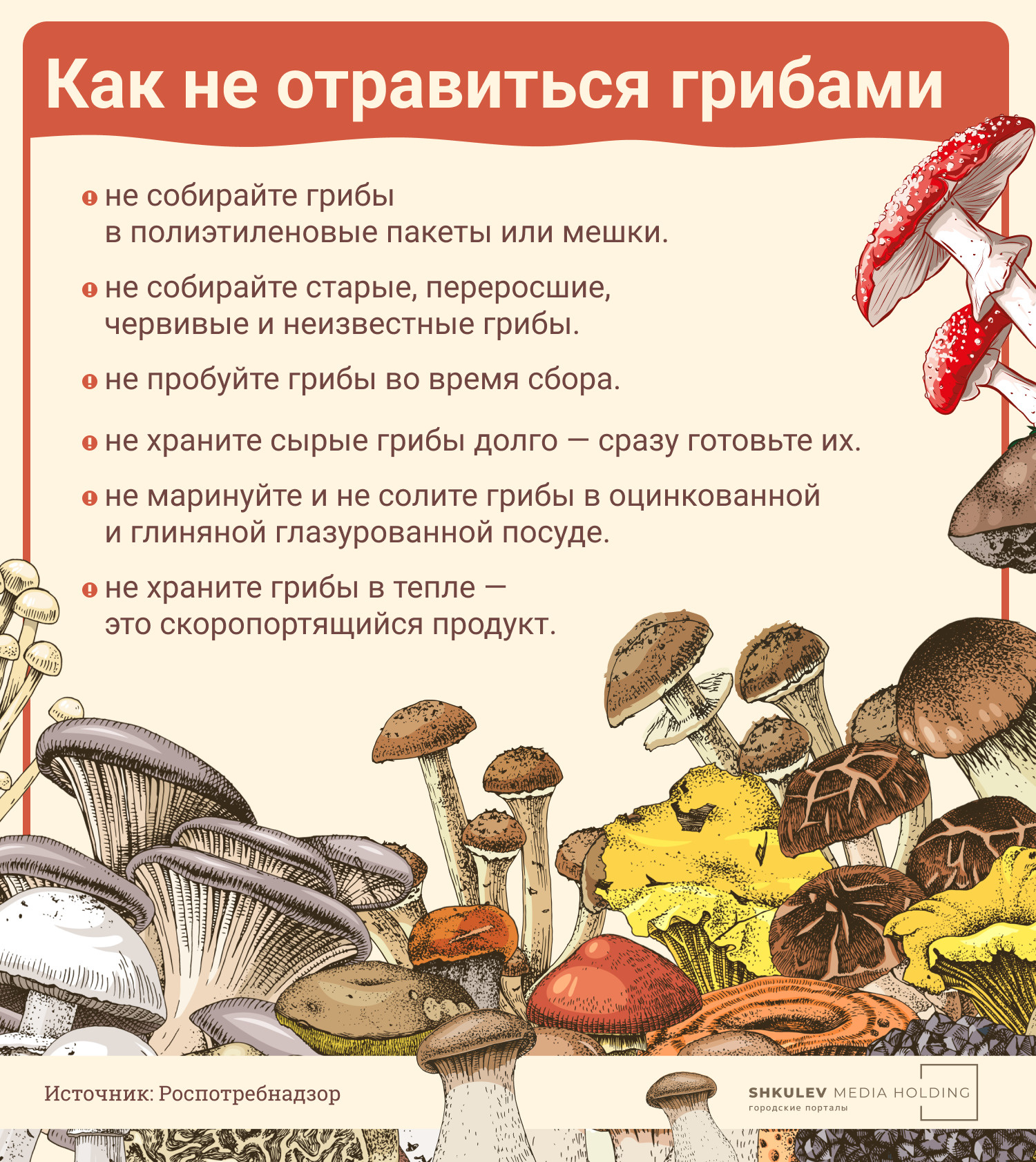 Зря вы их не собираете: врачи назвали пять самых полезных грибов грибы, грибов, можно, говорит, грибах, которые, граммов, Барташевич, могут, полезны, крови, поэтому, вещества, полезными, сыроежки, способны, собирать, рекомендуют, приготовлением, Кроме