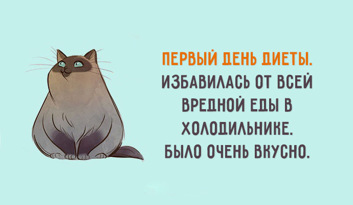 Днем рождения, открытки о похудении с юмором
