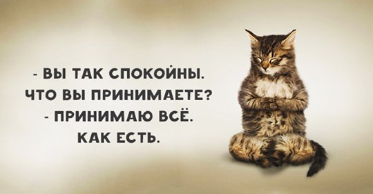 Забавности и шуточки в картинках, которые повеселят всех без исключения 