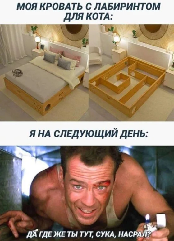 Шутки приколы юмор - подборка мемов