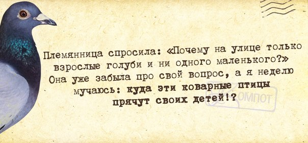 Субботний, утренний позитив дорогие друзья. веселые картинки