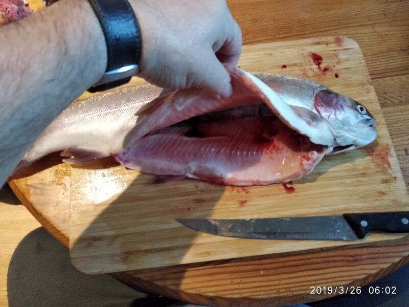 Как засолить форель: простой домашний рецепт рецепты