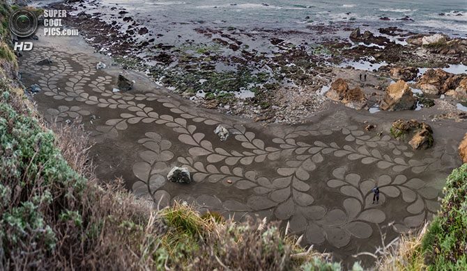 Ускользающая красота на пляжах Сан-Франциско 