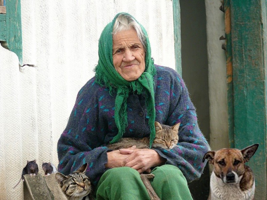 Мохнатка бабушки. Бабушка с собакой. Бабка в платке. Бабушка в платке. Старушка с собакой.