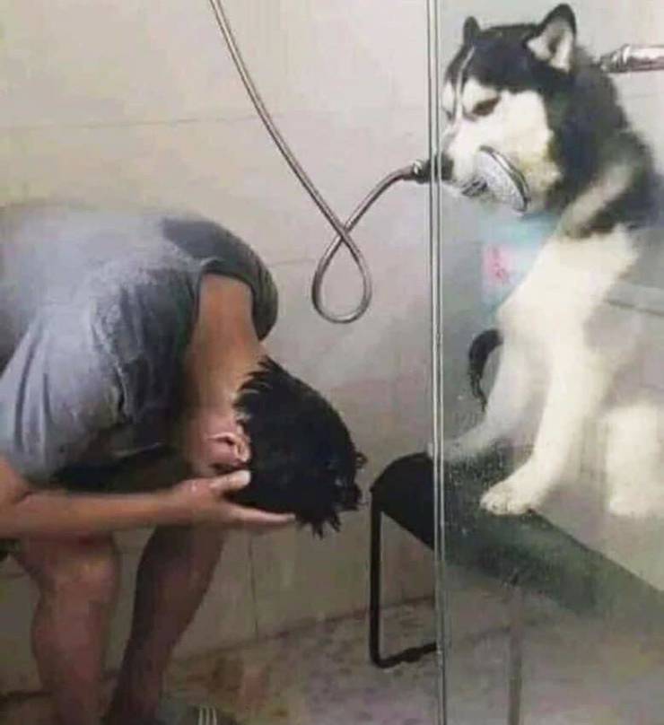 Подборка прикольных картинок Подборка прикольных картинок приколы,смешные картинки,юмор