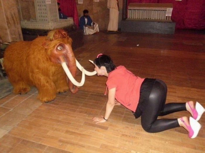 Фотоподборка вторника 27 ноября Фотоподборка вторника 27 ноября