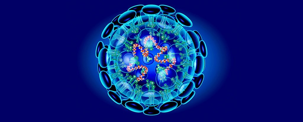 Схема с общей структурой коронавируса 2019-nCoV / ©Roger Harris/Science Photo Library/Getty Image