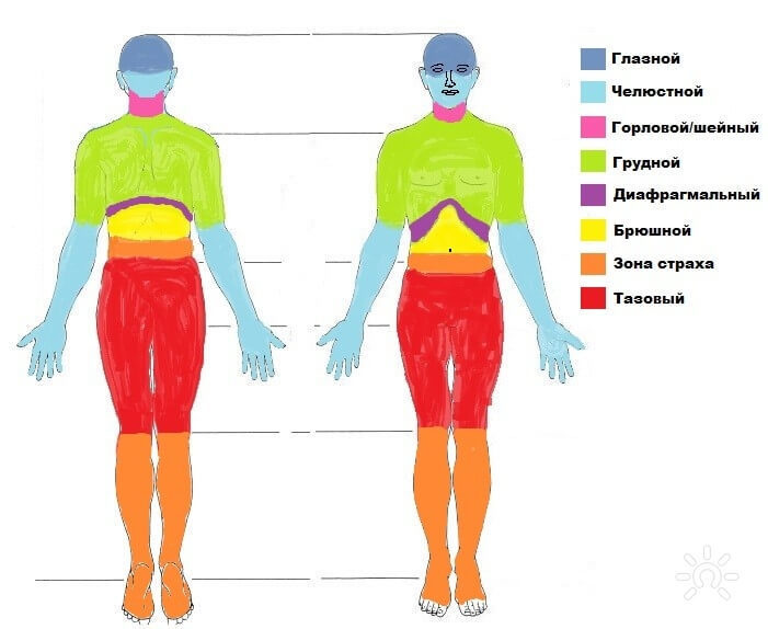 Где живут эмоции в теле человека картинки