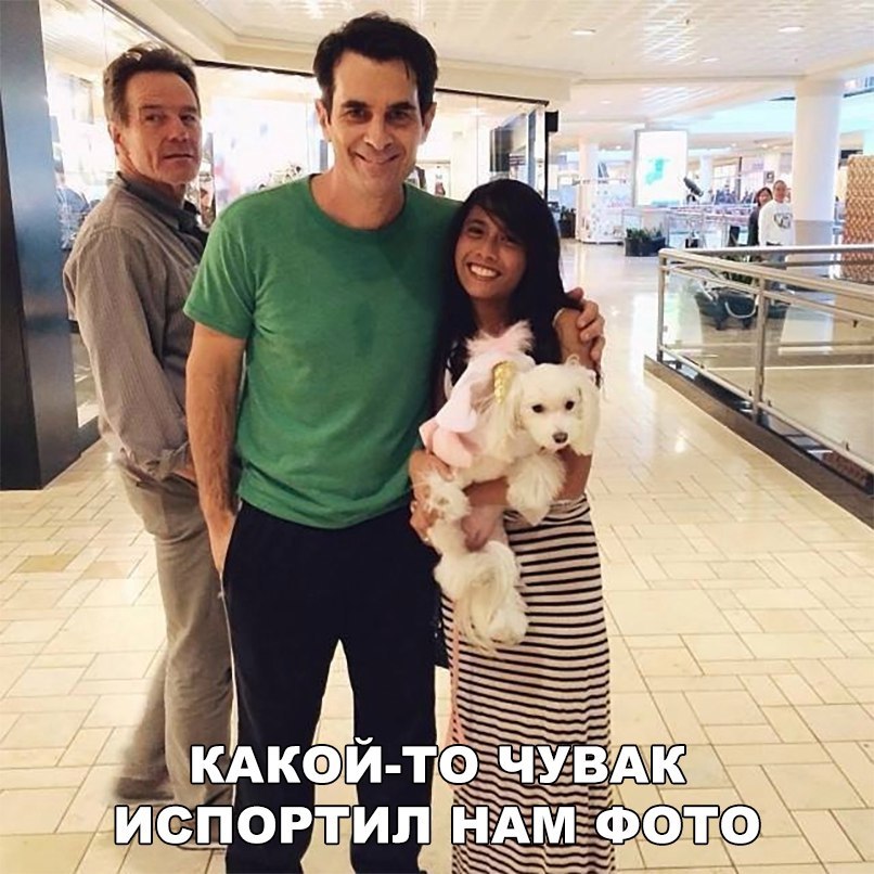 Подборка веселых, милых и забавных фотографий с надписями из сети картинки с надписями,приколы,прикольные картинки,смешные комментарии,угарные фотки,юмор